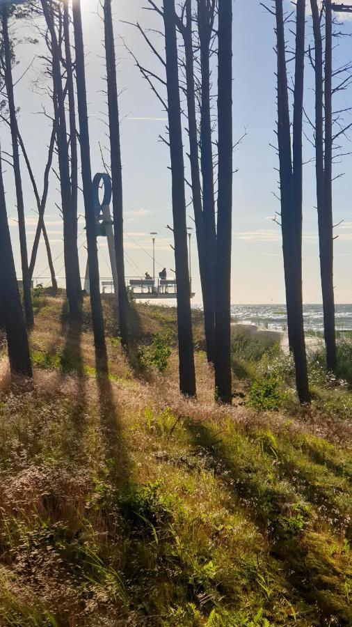 Apartament Seaside Dune - Aleja Poludniowa 14A Dźwirzyno Esterno foto